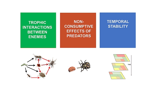 Powerpoint slide showing images of biological control interactions.